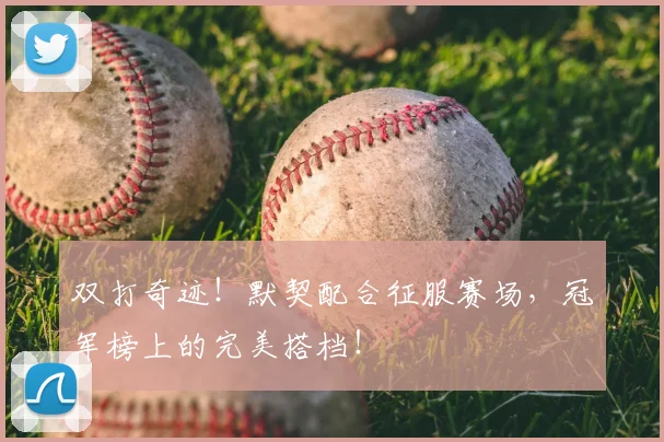 双打奇迹！默契配合征服赛场，冠军榜上的完美搭档！